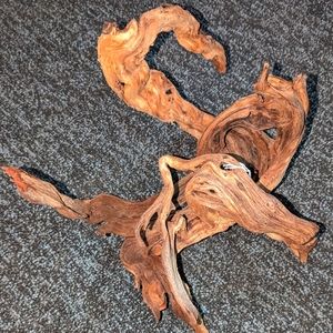 Exotic Driftwood